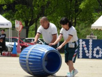 たるころ