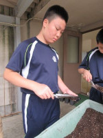 土B