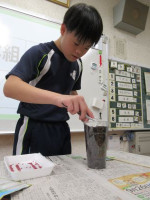 種C